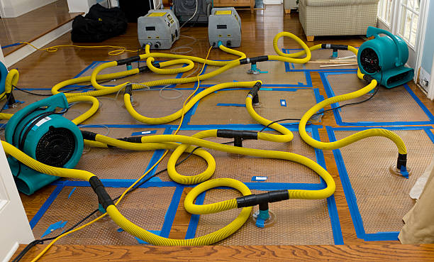 Professional Structural Drying And Dehumidification technician working in Campbell, CA